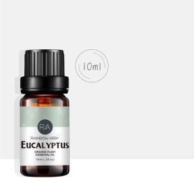 Organic Essential Oil (Option: Eucalyptus)