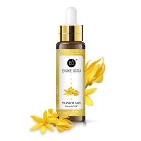 Aromatherapy Essential Oil With Dropper (Option: Ylang Ylang-10ML)