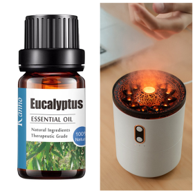 Pure Essential Oil 10ml (Option: Eucalyptus-Set)