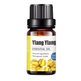 Pure Essential Oil 10ml (Option: Ylang Ylang-10ML)