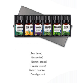 Therapeutic Grade Essential Oil (Option: 6pack)